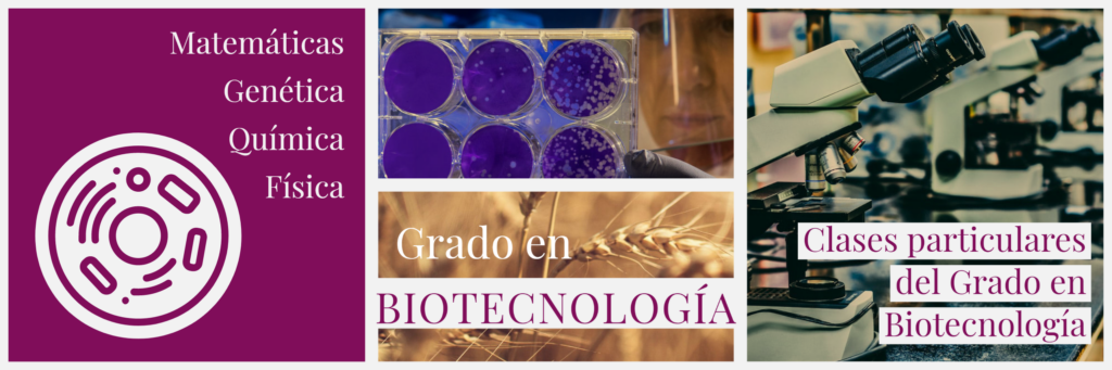 Clases online del grado en biotecnología