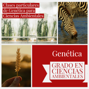 Clases online de Genética para Ciencias Ambientales