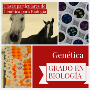 Clases online de Genética para Biología