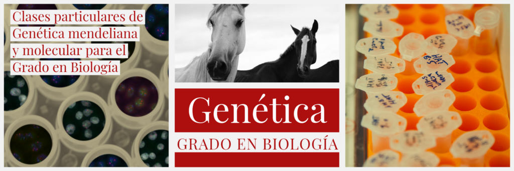 Clases online de Genética para Biología