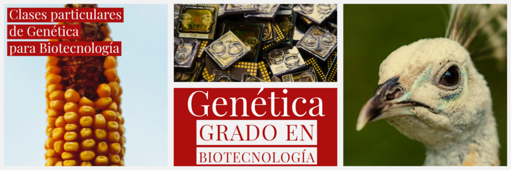 Clases online de Genética para Biotecnología