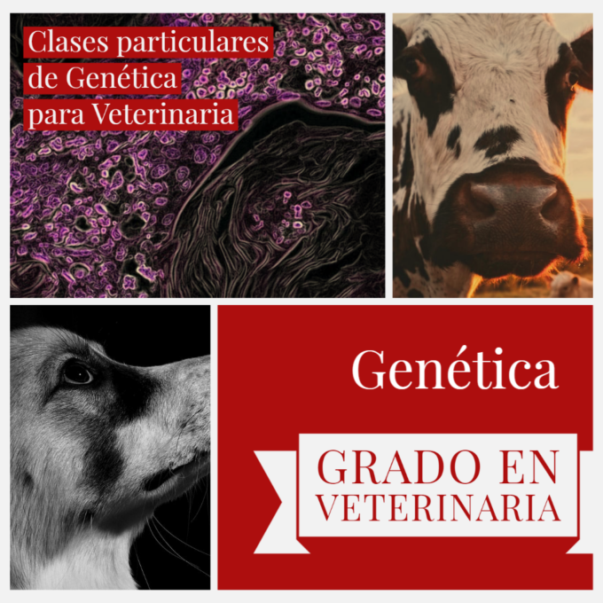 Clases online de Genética para Veterinaria