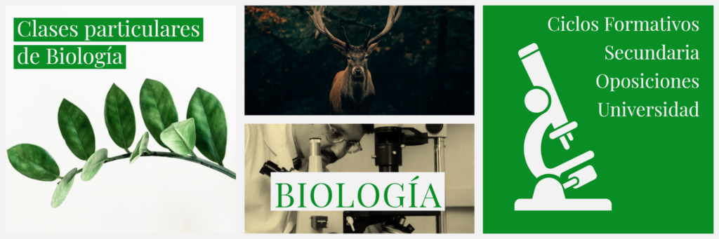 Clases online de biología