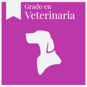 clases del grado en veterinaria